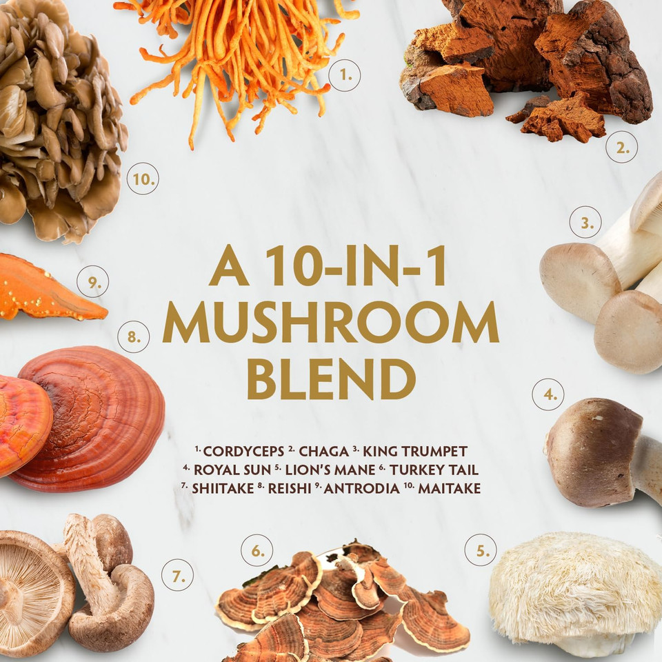 Tribe Organics Mushroom Golden Blend Powder - Organic Mushroom Powder Complex - 10-In-1 Mushrooms For Immunity Support & Health - 200G Pouch - 100 Servings