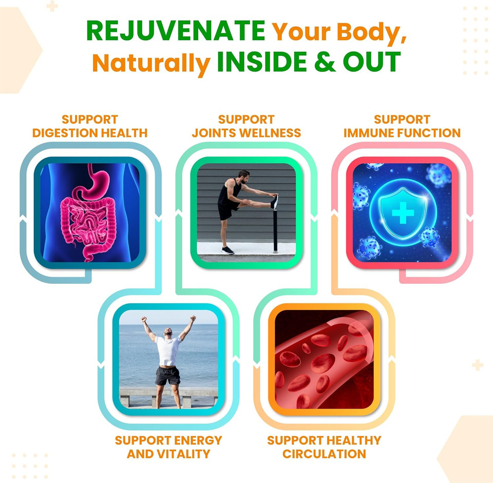 Vital Herbal Liposomal Ginger With Lemon Balm, Cinnamon- Maximum Potency - Supports Digestion, Joints, Immune Health - Made In The Usa