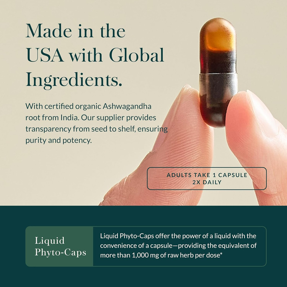 Gaia Herbs Ashwagandha Root - Stress Relief & Immune Support Supplement - Supports Balanced Energy Levels And Positive Outlook - 120 Vegan Liquid Phyto Capsules (1 Pack)