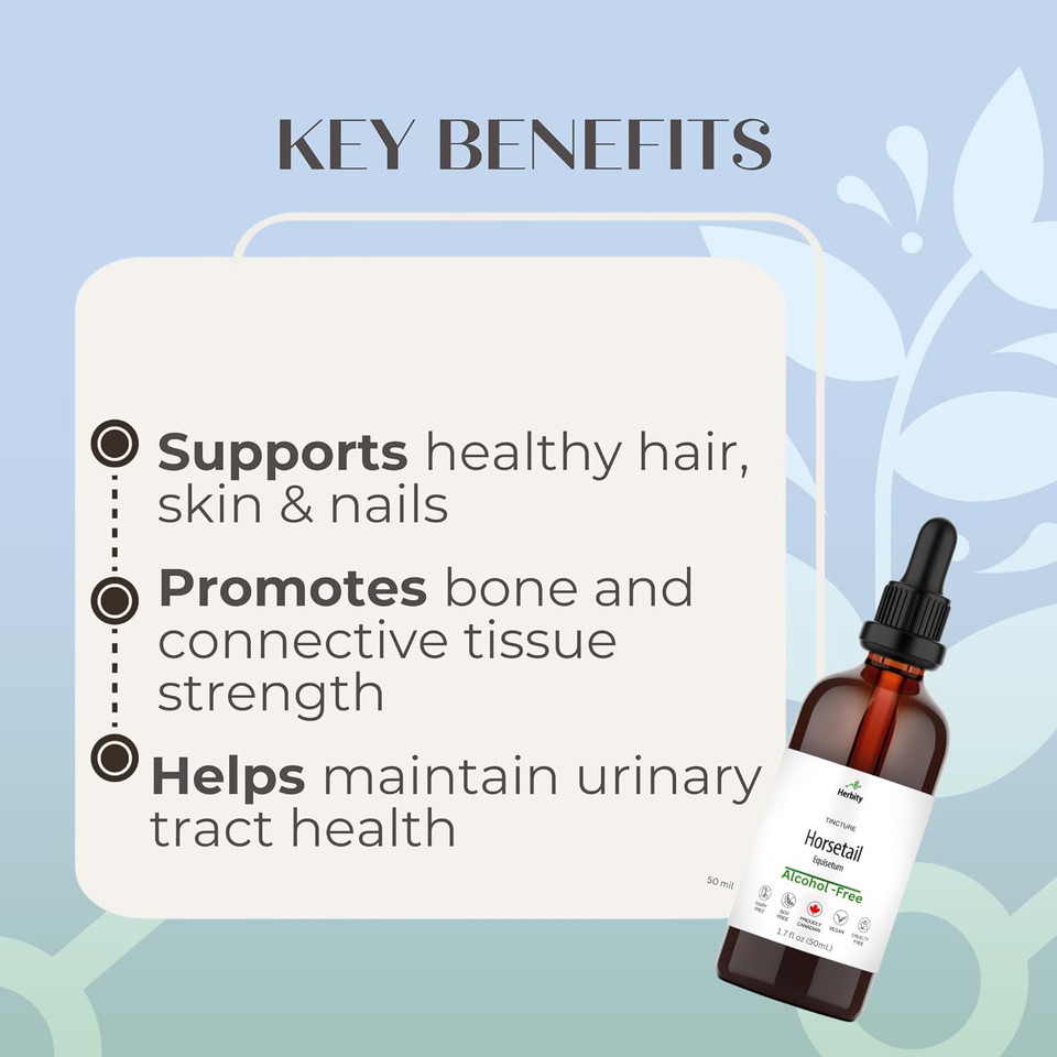 Horsetail Tincture  Alcohol-Free Herbal Extract For Hair, Skin, Nails & Bone Support  Vegan, Sugar-Free, Glycerin-Based Supplement  1.7 Fl Oz (50 Ml)