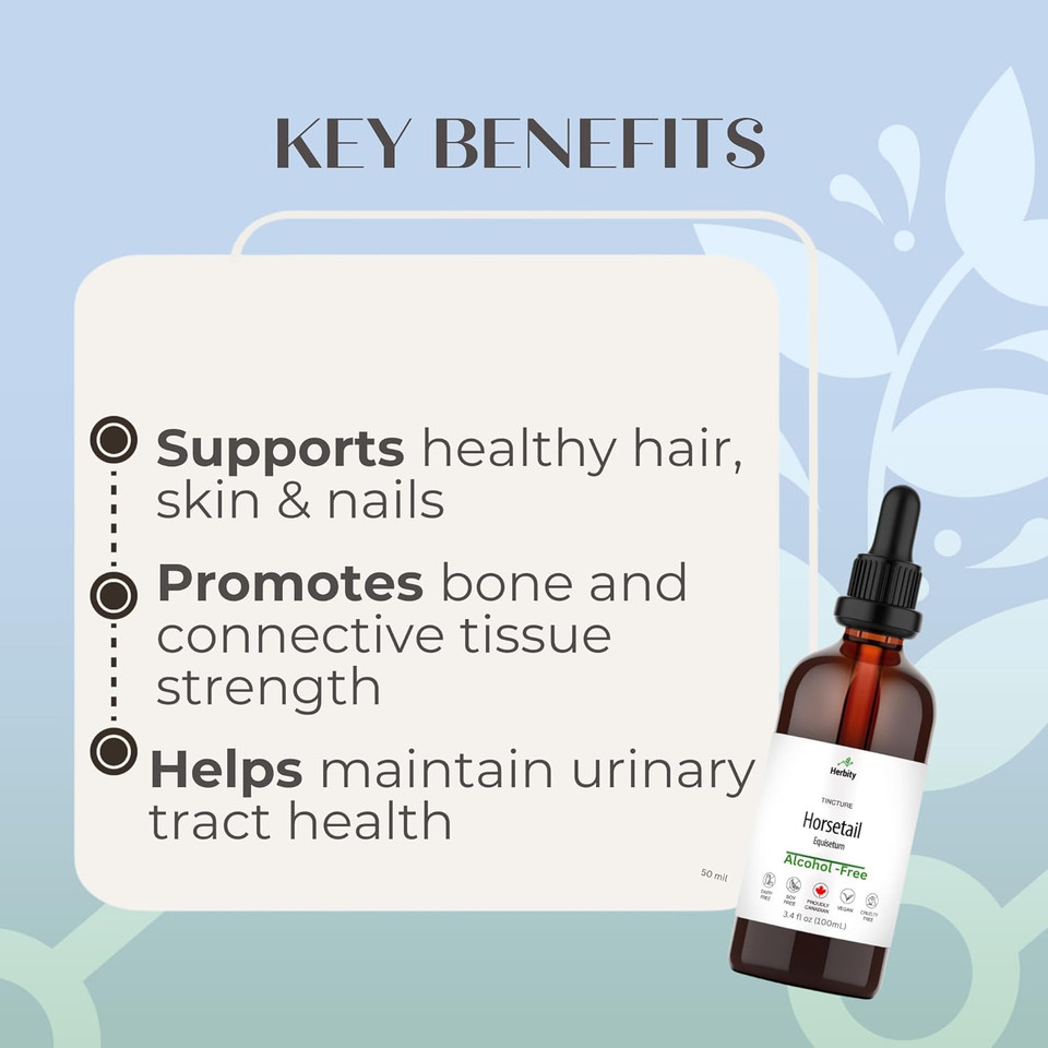 Horsetail Tincture  Alcohol-Free Herbal Extract For Hair, Skin, Nails & Bone Support  Vegan, Sugar-Free, Glycerin-Based Supplement  3.4 Fl Oz (100 Ml)