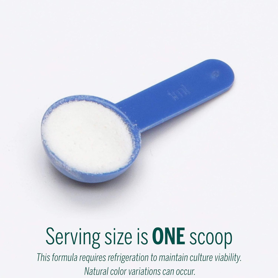 Genestra Brands Hmf Powder | Four Strains Of Probiotics To Promote Gi Health | 2.6 Ounces