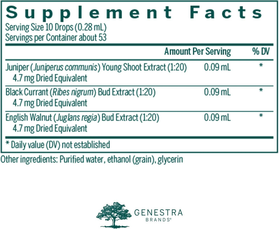 Genestra Brands Liv-Gen | Juniper, Black Currant, And English Walnut Herbal Supplement | 0.5 Fl. Oz Genestra Brands Liv-Gen | Juniper, Black Currant, And English Walnut Herbal Supplement | 0.5 Fl. Oz