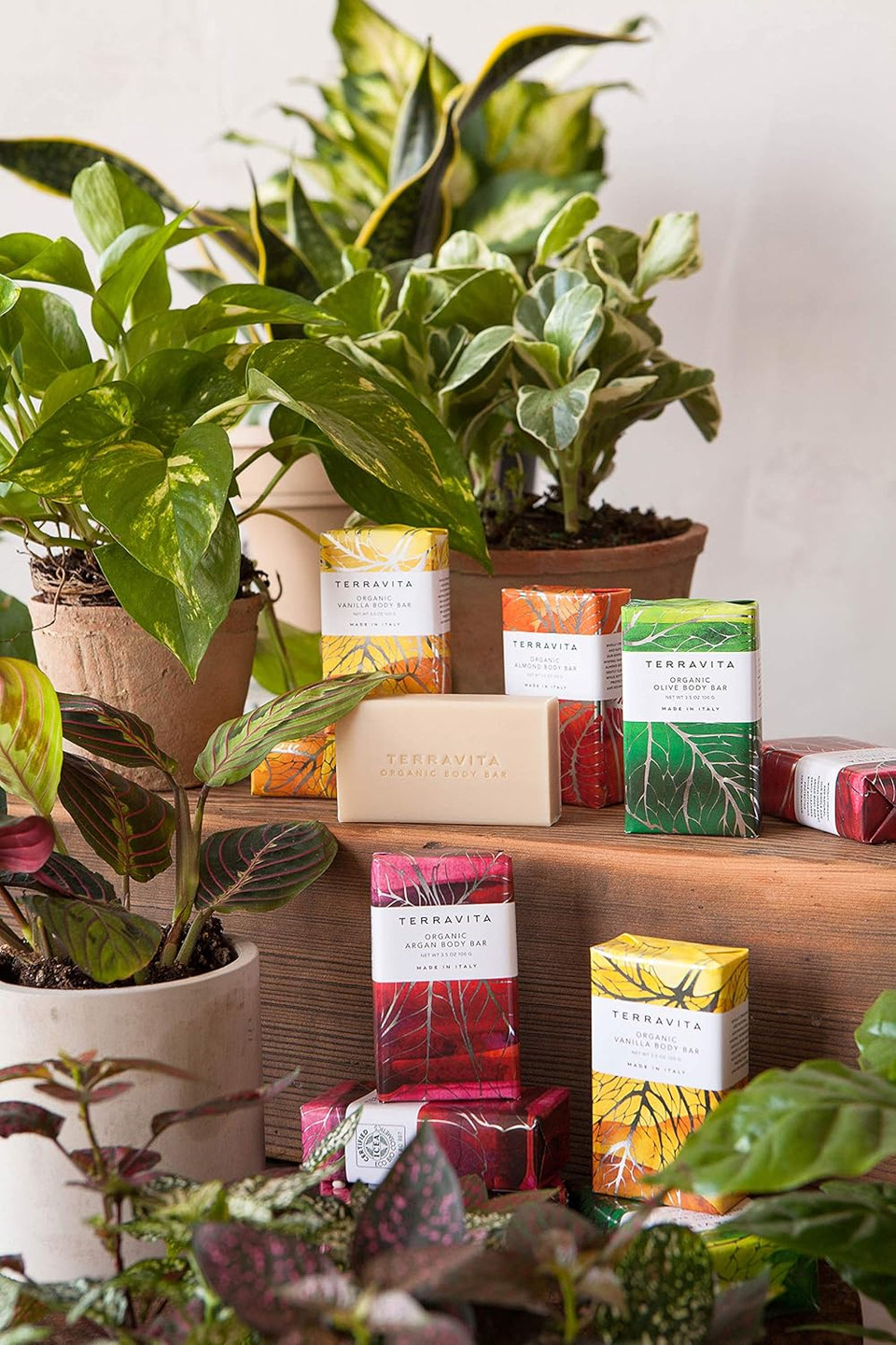 Terravita Organic, Vegan, & Gluten-Free Body Bar Soap, Argan, 100 Gram