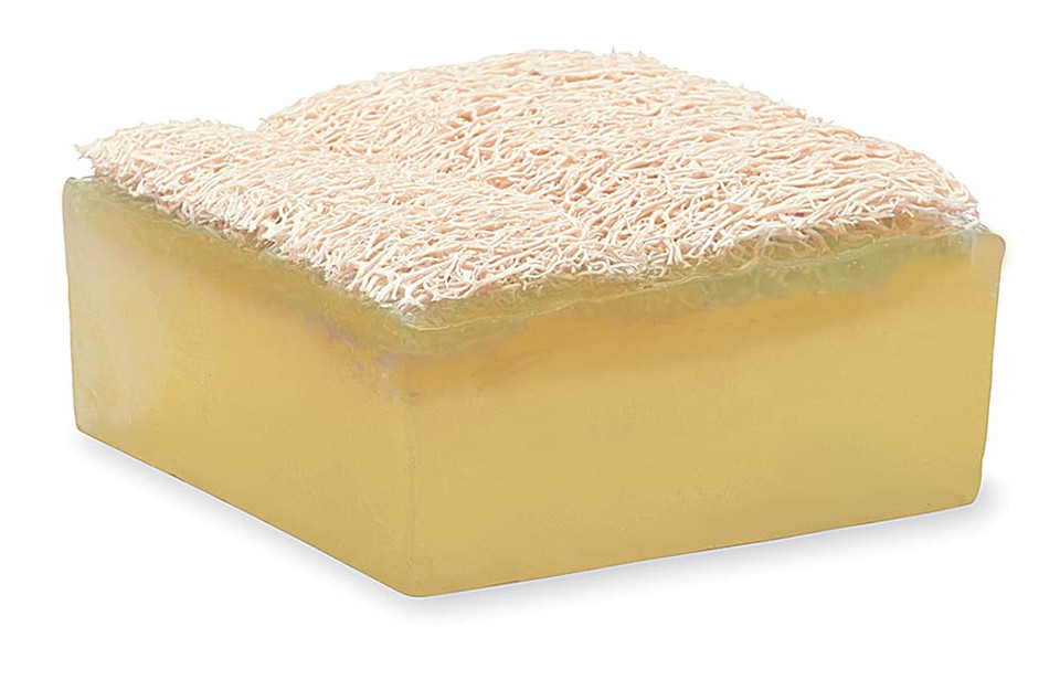 Primal Elements Lemongrass Loofah Bar Soap, 5 Ounce