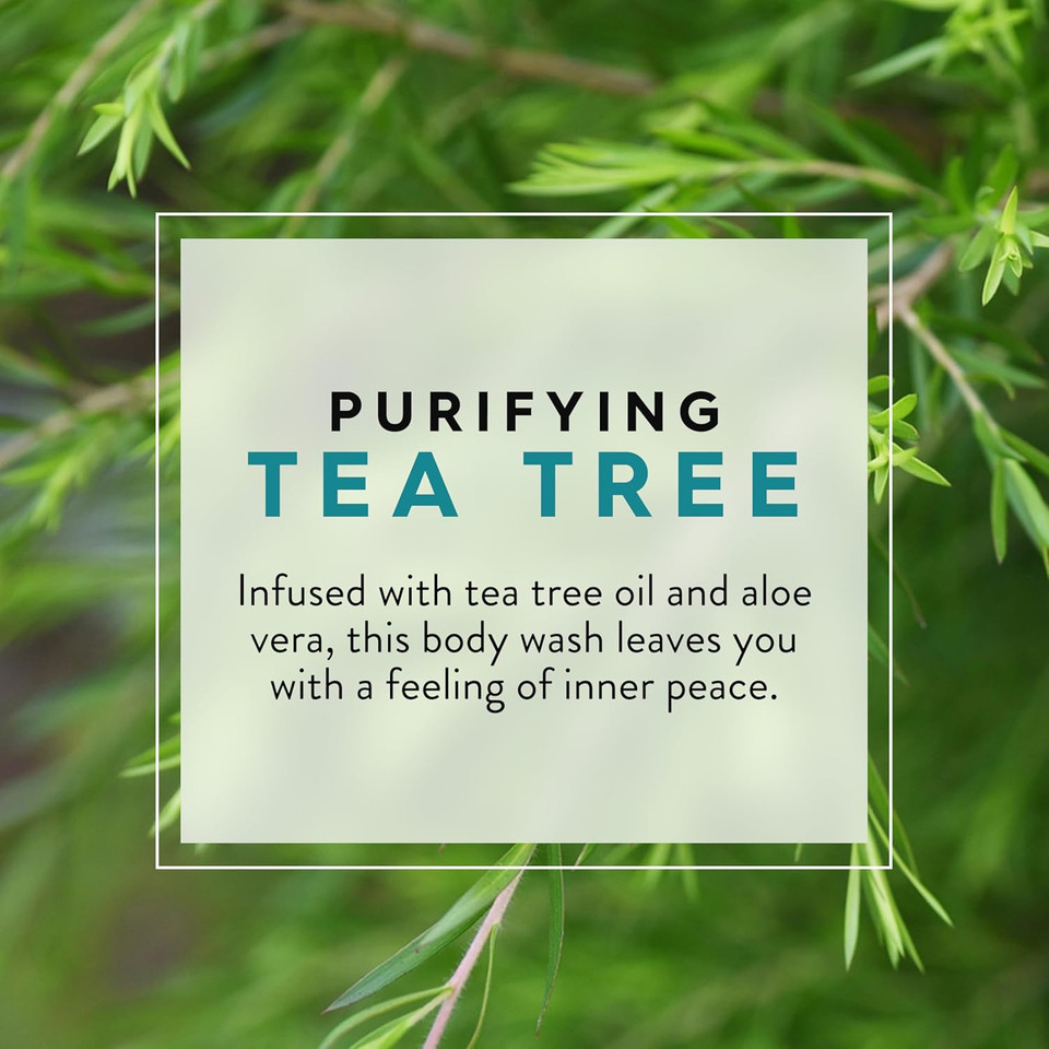 Jason Tea Tree Purifying Body Wash, For A Gentle Feeling Clean, 30 Fluid Ounces