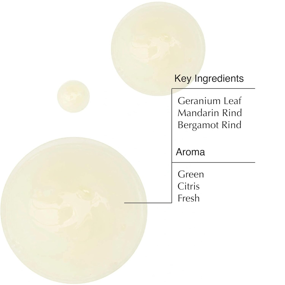 Aesop Coriander Seed Body Cleanser | Refreshing & Invigorating | Spicy, Woody, Warm | 16.9 Oz / 500Ml