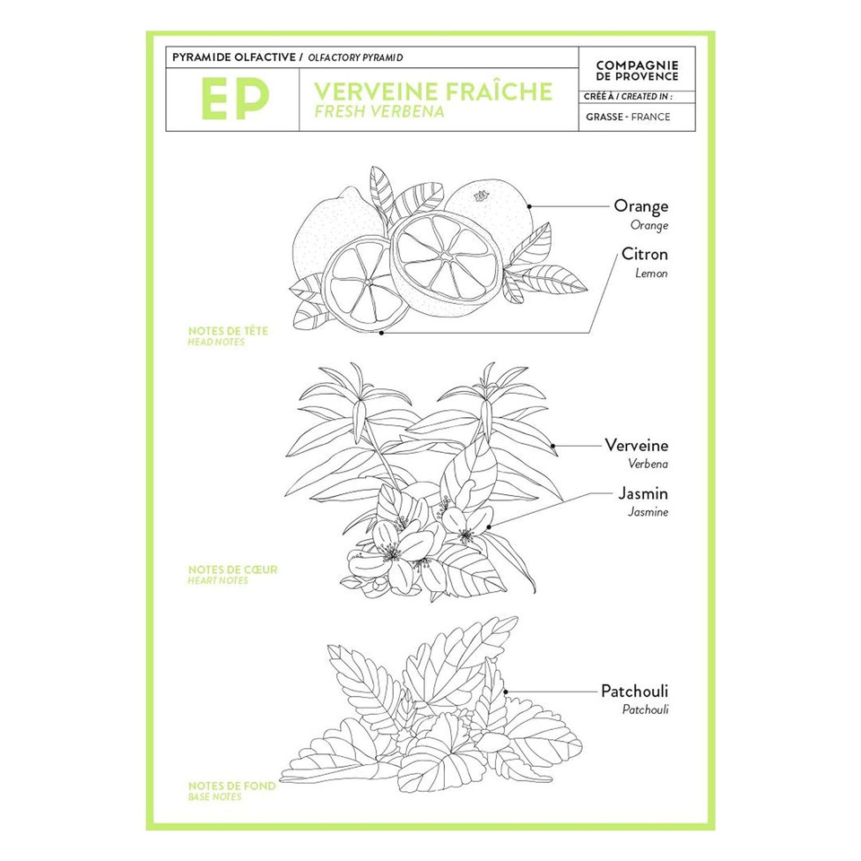 Compagnie De Provence Savon De Marseille Extra Pure Liquid Soap - Fresh Verbena - 16.7 Fl Oz Glass Pump Bottle And 33.8 Fl Oz Plastic Bottle Refill