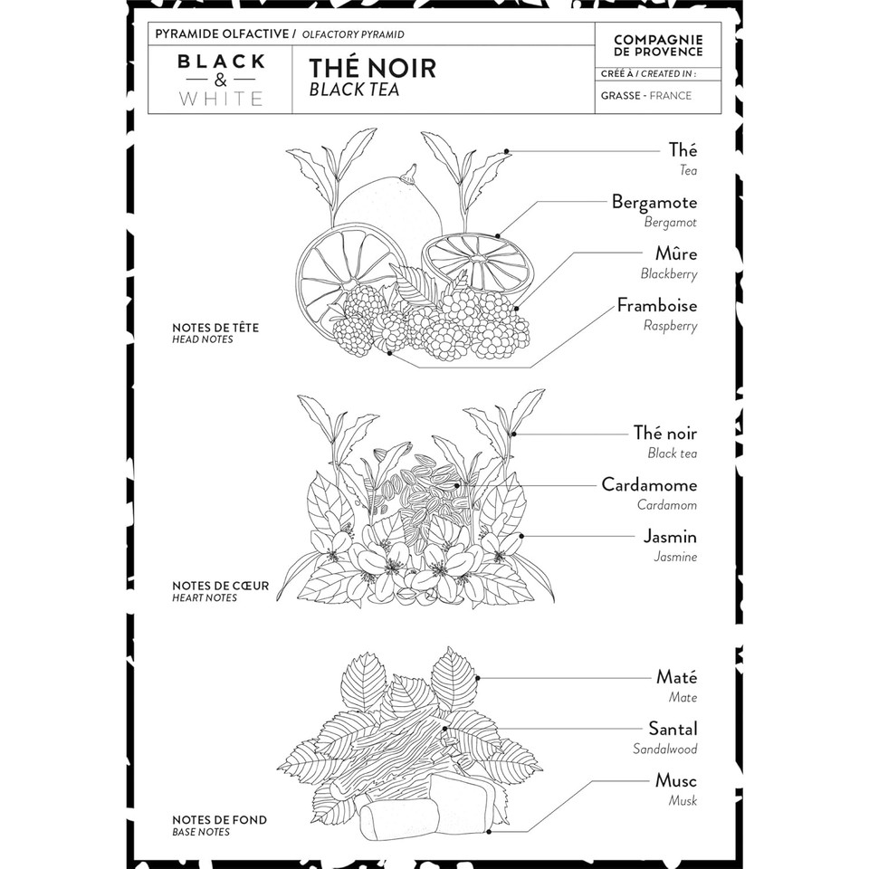 Compagnie De Provence Savon De Marseille Extra Pure Liquid Soap, Black Tea, Two 33.8 Fl Oz Plastic Bottle Refills
