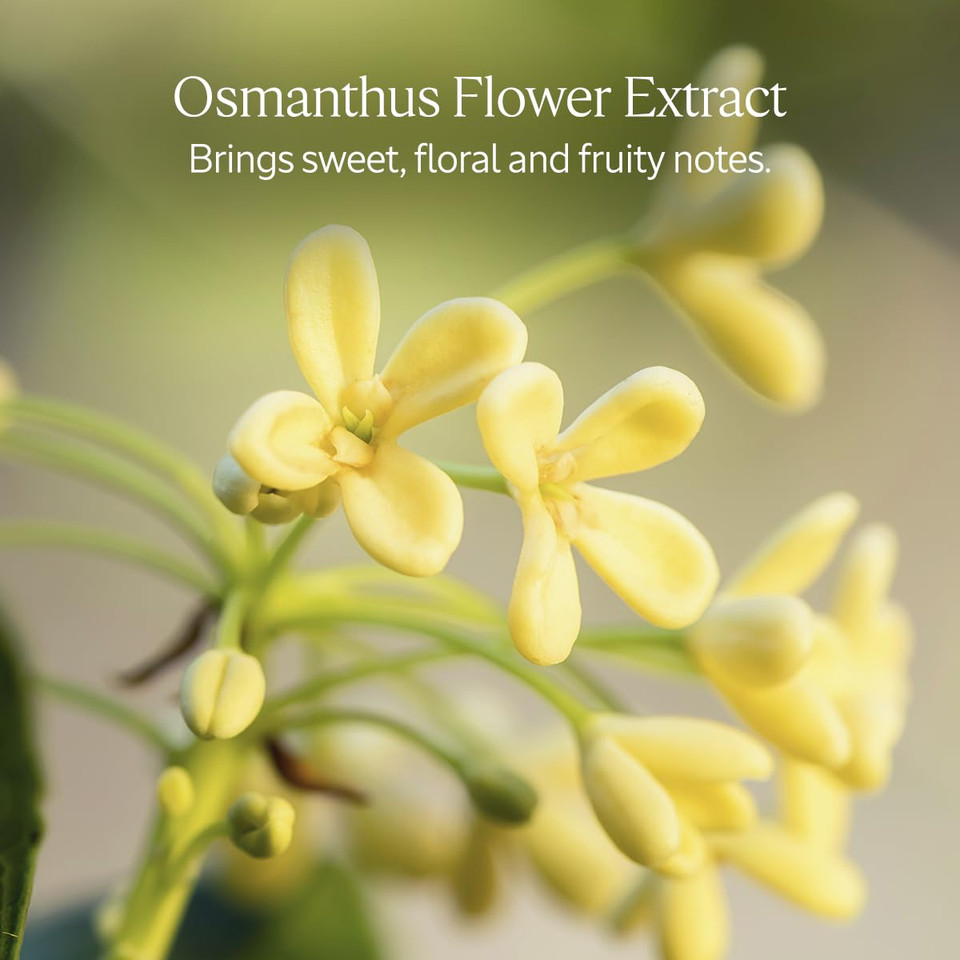 L'Occitane Osmanthus Perfumed Soap 1.70 Oz