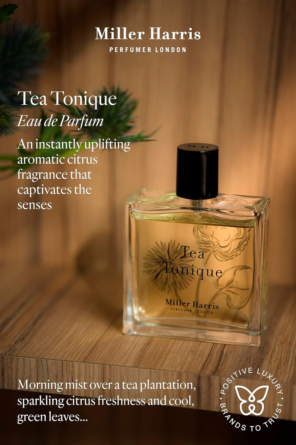 Miller Harris Tea Tonique Eau De Parfum | Tea, Citrus Perfume (3.4 Fl Oz)