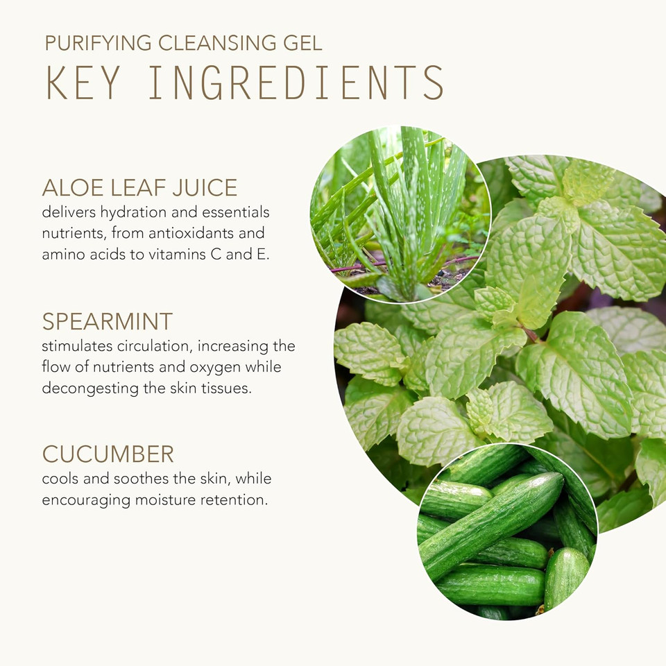 Tammy Fender - Purifying Cleansing Gel | Natural, Organic, Cruelty Free, Non-Toxic Skincare | Makeup Remover To Smooth, Soften, & Clarify | For Oily Or Overactive Skin (6 Fl Oz | 178 G)