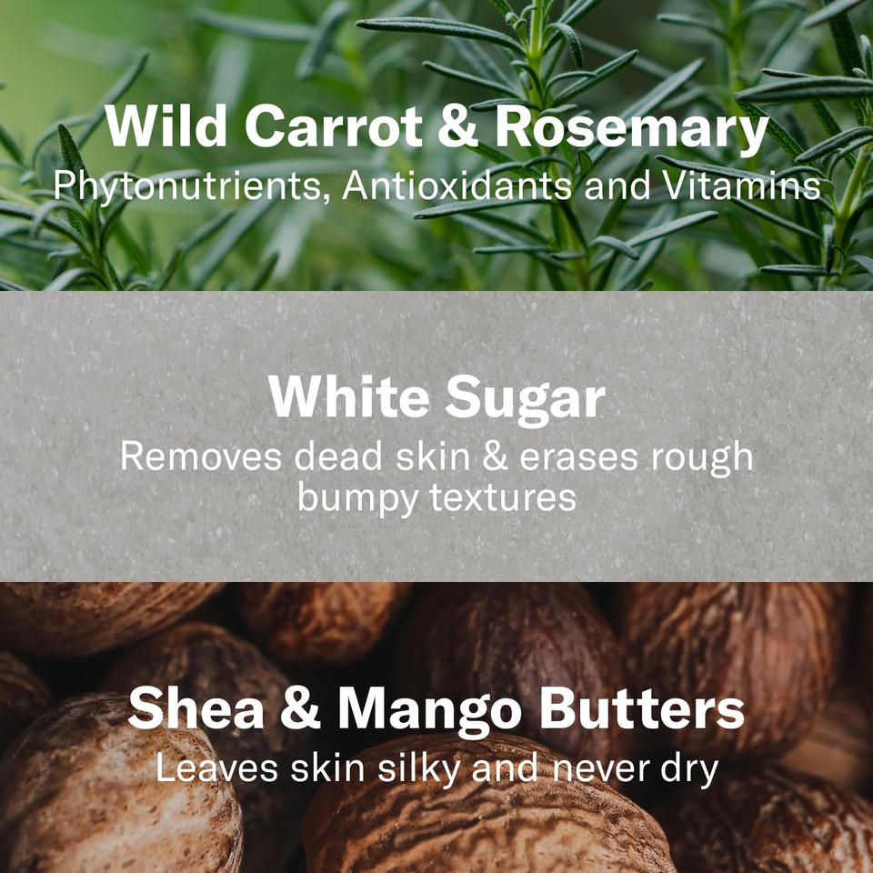 Odacité Jojoba Pearls Daily Hydra-Exfoliant - Hydrating & Firming Formula - Vegan Skincare - Sensitive Skin Friendly - For All Skin Types - 1.69 Oz