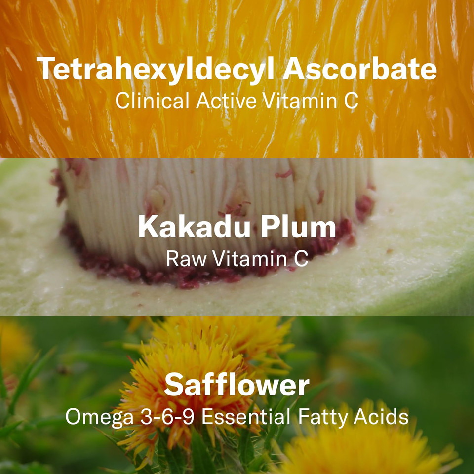 Odacité Jojoba Pearls Daily Hydra-Exfoliant - Hydrating & Firming Formula - Vegan Skincare - Sensitive Skin Friendly - For All Skin Types - 1.69 Oz