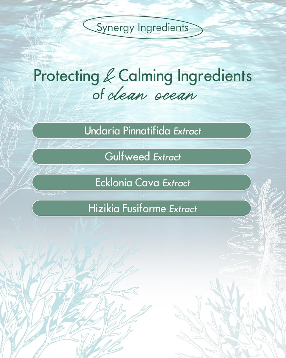 Skincure Vegan Seaweed Mud Mask, Korean Skincare Blackhead Remover Clay Mask For Pore Cleansing With Kaolin & Bentonite, Oil Control & Gentle Exfoliation, 3.5Oz Skincure Vegan Seaweed Mud Mask, Korean Skincare Blackhead Remover Clay Mask For Pore Cleansing With Kaolin & Bentonite, Oil Control & Gentle Exfoliation, 3.5Oz