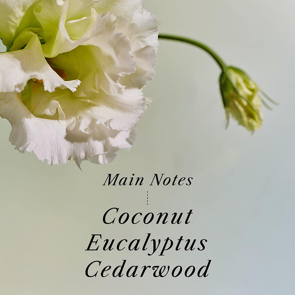 La'Dor Hair Perfume Oil For Damaged Permed Hair - Anti-Frizz Nourishing Fragrance Glassy Shiny Oil Serum Leave-In Conditioner Hold Curls & Waves Bouncy No Alcohol 1 Fl Oz 04 Our Leaf Lador Korean