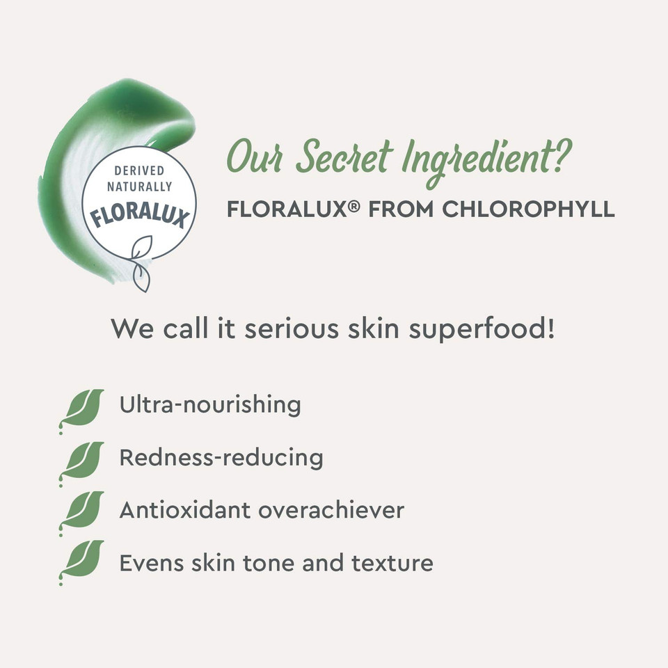 Bioclarity 3-Step Essentials Skin Routine (Mini Size) For Normal & Oily Skin Types | 100% Clean, Vegan Ingredients
