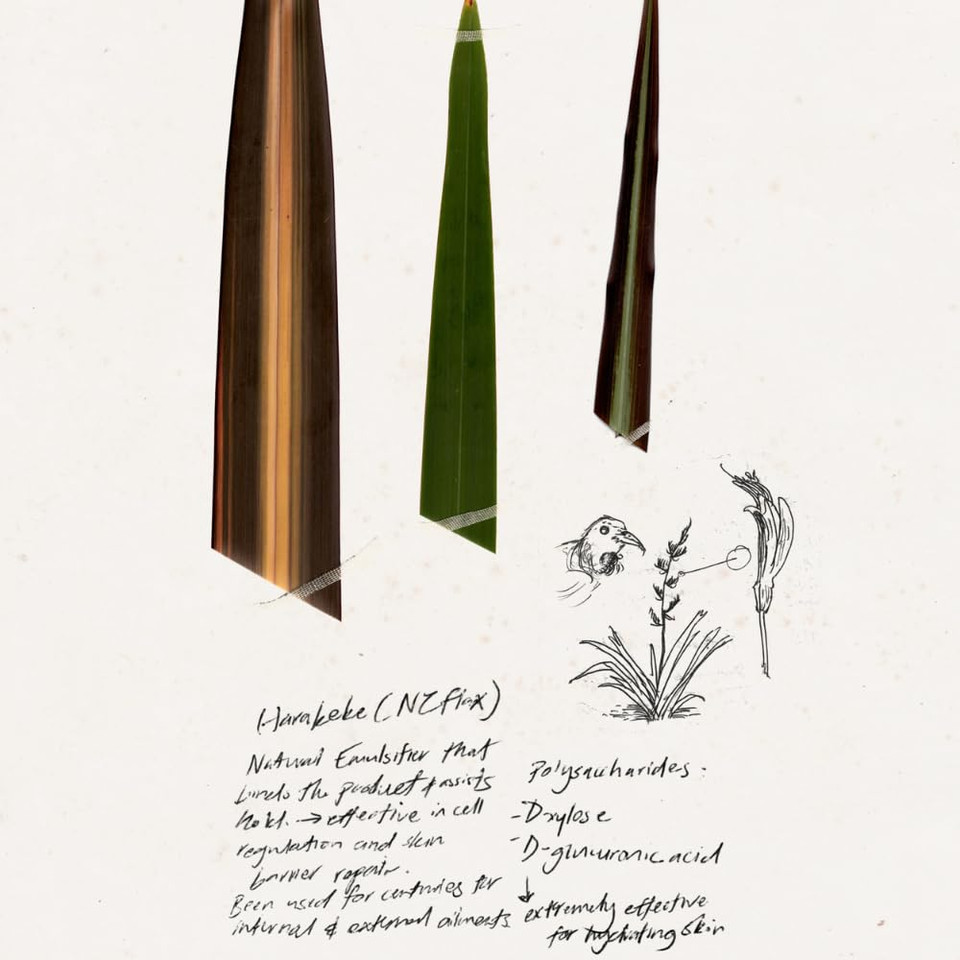 Triumph & Disaster Ponsonby Pomade  Medium Hold Hair Wax For Men And Women, High Shine, Non-Greasy Finish, 65G  Fine To Thick Hair