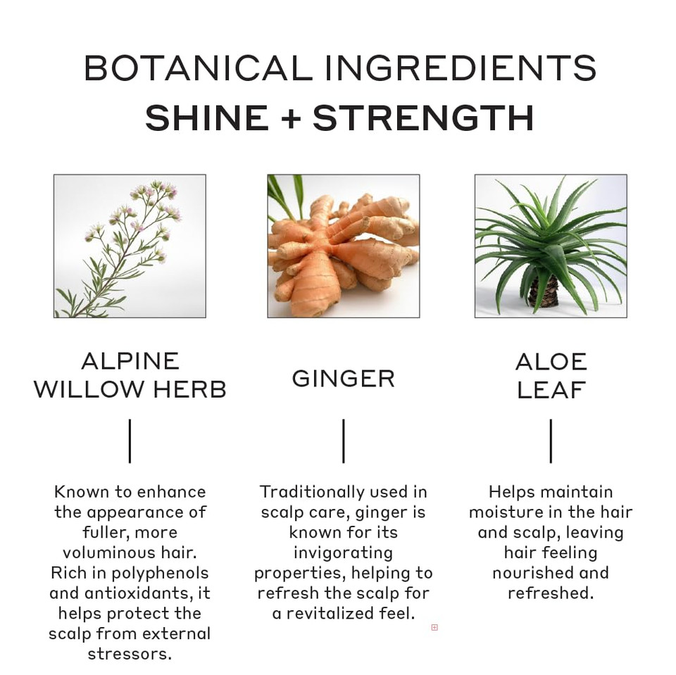 Zenagen Evolve Unisex Conditioner