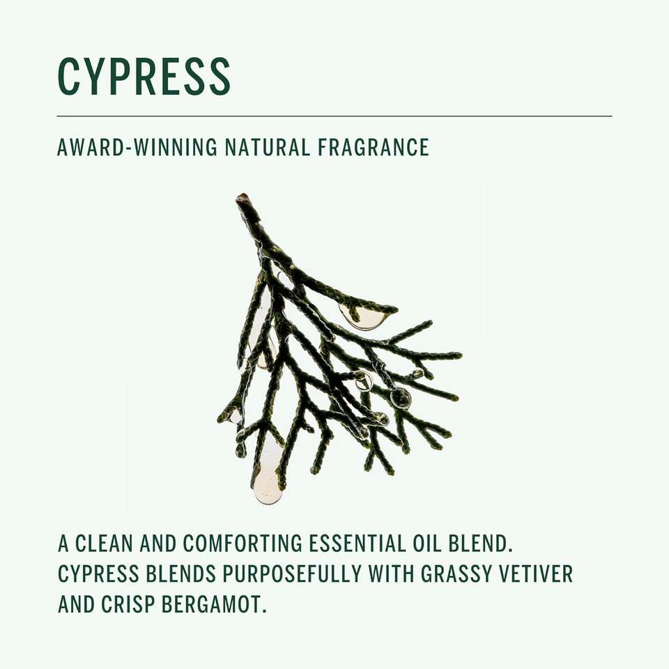 Corpus - Cypress Conditioner | Plant-Based, Instant Deep Conditioning Weightless Formula With Tremella Mushroom | For All Hair Types, Silicone-Free, No Synthetic Fragrance Or Parabens (266Ml/ 9Fl Oz)