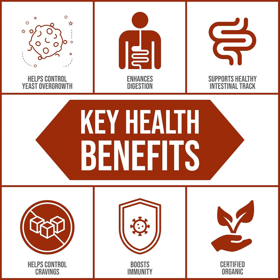 Body Ecology Cocobiotic | Naturally Fermented Liquid Probiotic | Dietary Supplement With Coconut Water | Non-Gmo Probiotic Beverage For Digestive Support And Gut Health (25.36 Fl Oz.)