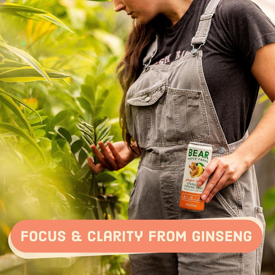 Bear Maple Farms Sparkling Ginseng Tonic, Natural Focus & Clarity From Ginseng, No Caffeine, 5-10 Calories Per Serving, Naturally Sweetened, 12Oz Can - Ginger