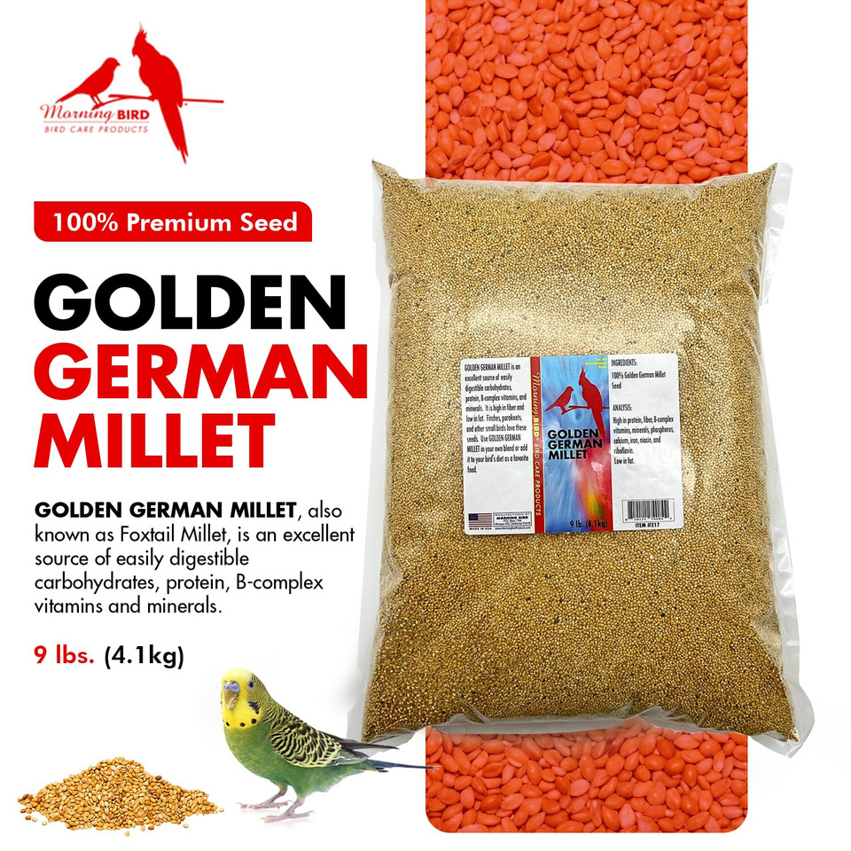 Morning Bird Golden German Millet  Bird Seed & Parakeet Food With Protein, Vitamin B & Fiber  Easy-To-Digest Millet Seed, Natural Food & Daily Nutrition Supplement For All Type Of Bird 9 Lbs