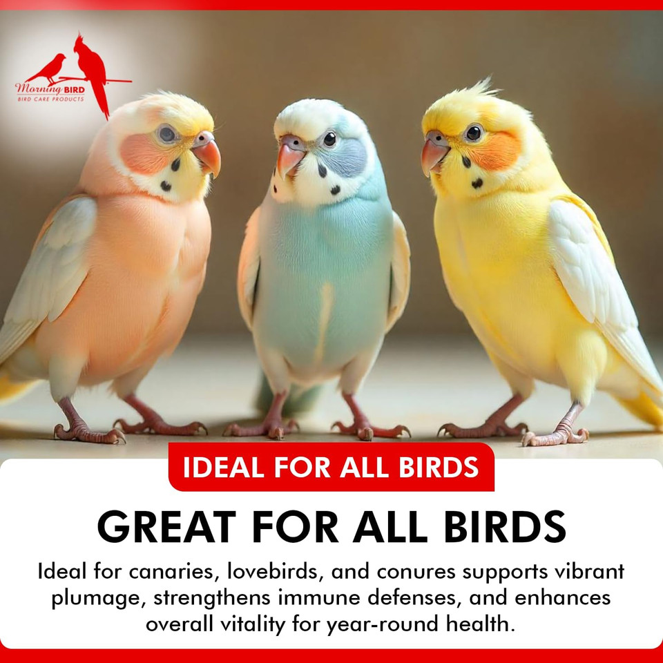 Morning Bird Bee Pollen Powder For Birds 1 Oz  Complete Nutrition With Protein, Amino Acids & Immune Support  Bird Vitamin & Mineral Supplement For Daily Health & Wellness