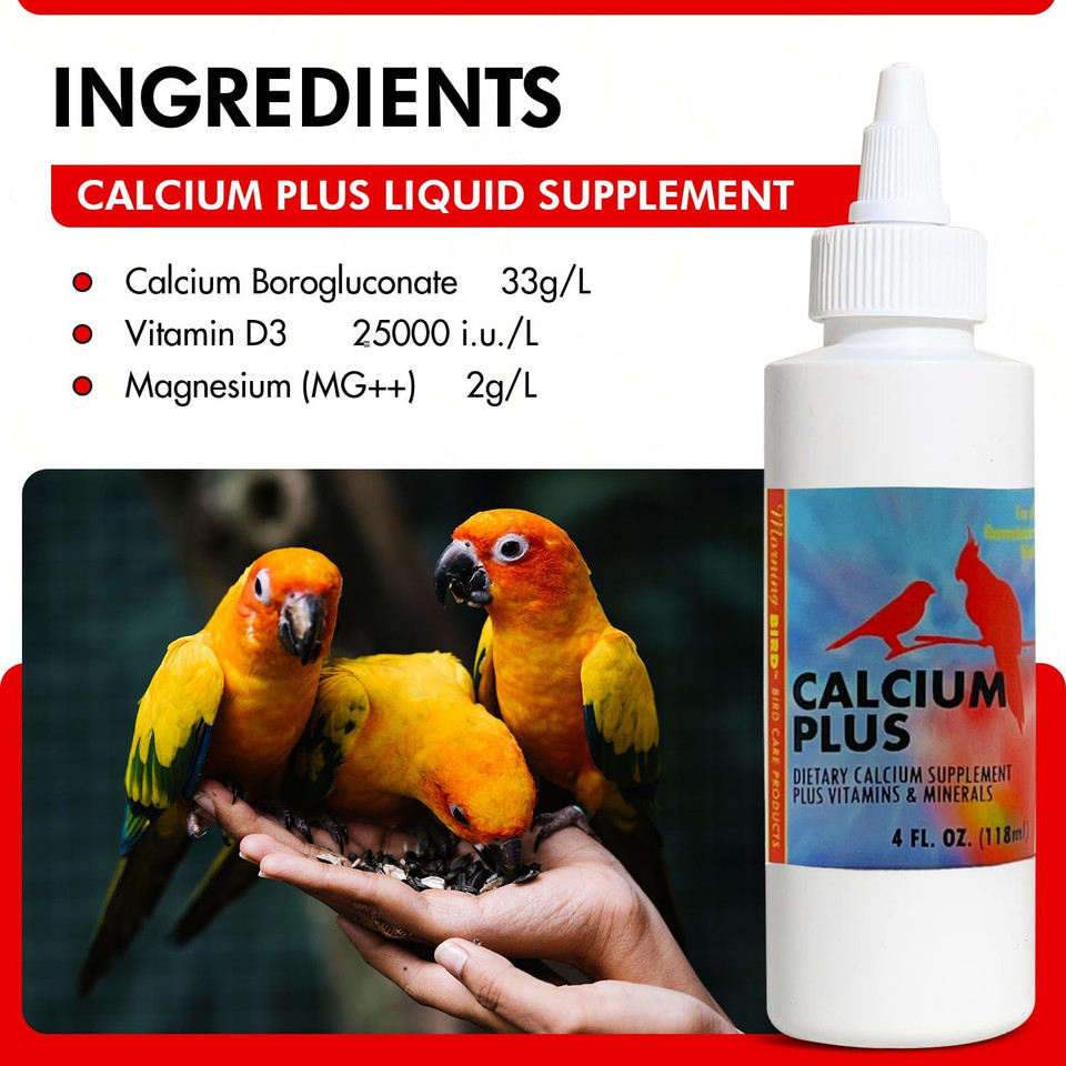 Morning Bird Calcium Plus Liquid Supplement For Birds - Liquid Calcium Formula With Magnesium And Vitamin D3 Calcium Supplement For All Birds  16 Fl Oz