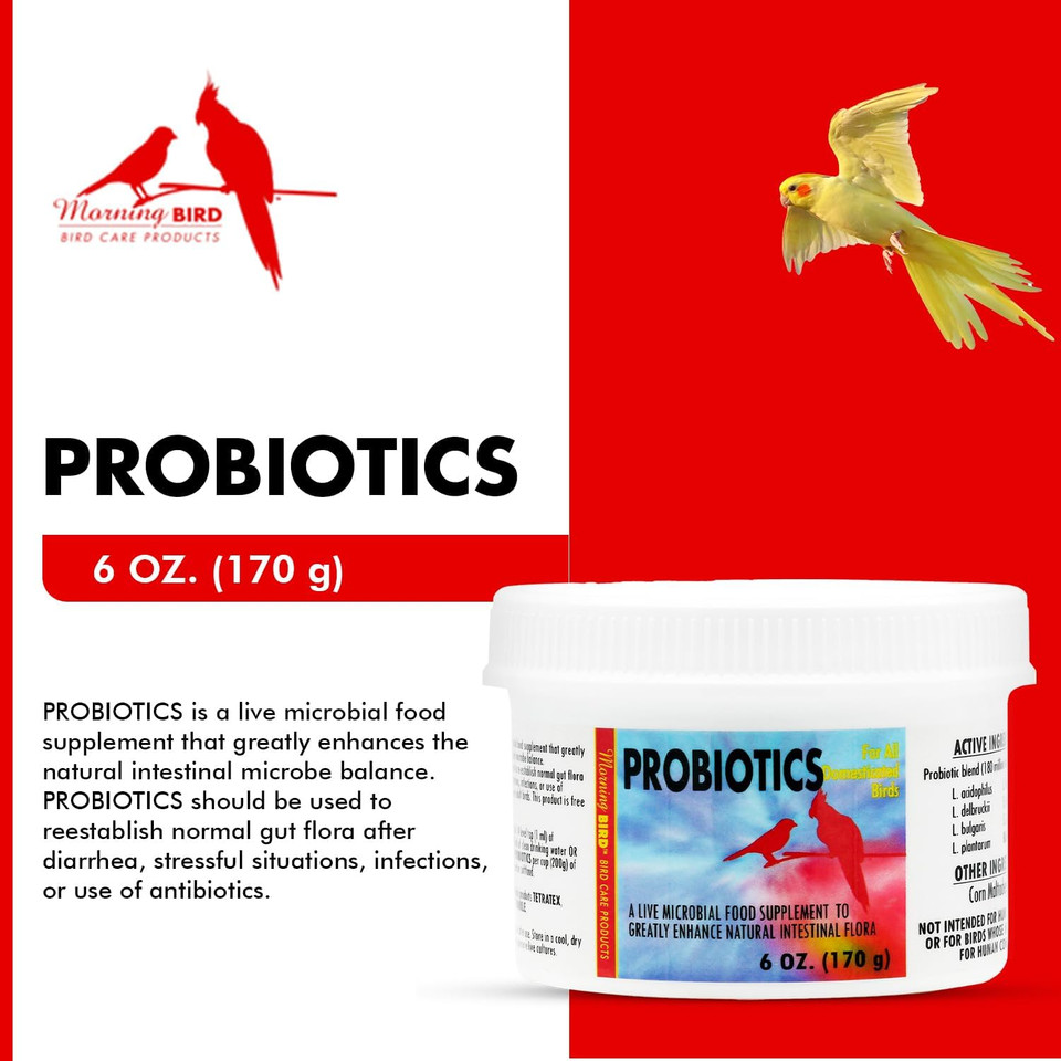 Morning Bird Probiotics For Birds 16 Oz Digestive Health Supplement With Supports Gut Balance, Nutrient Absorption & Immune Support  Easy Mix Powder Supplement For All Bird Species