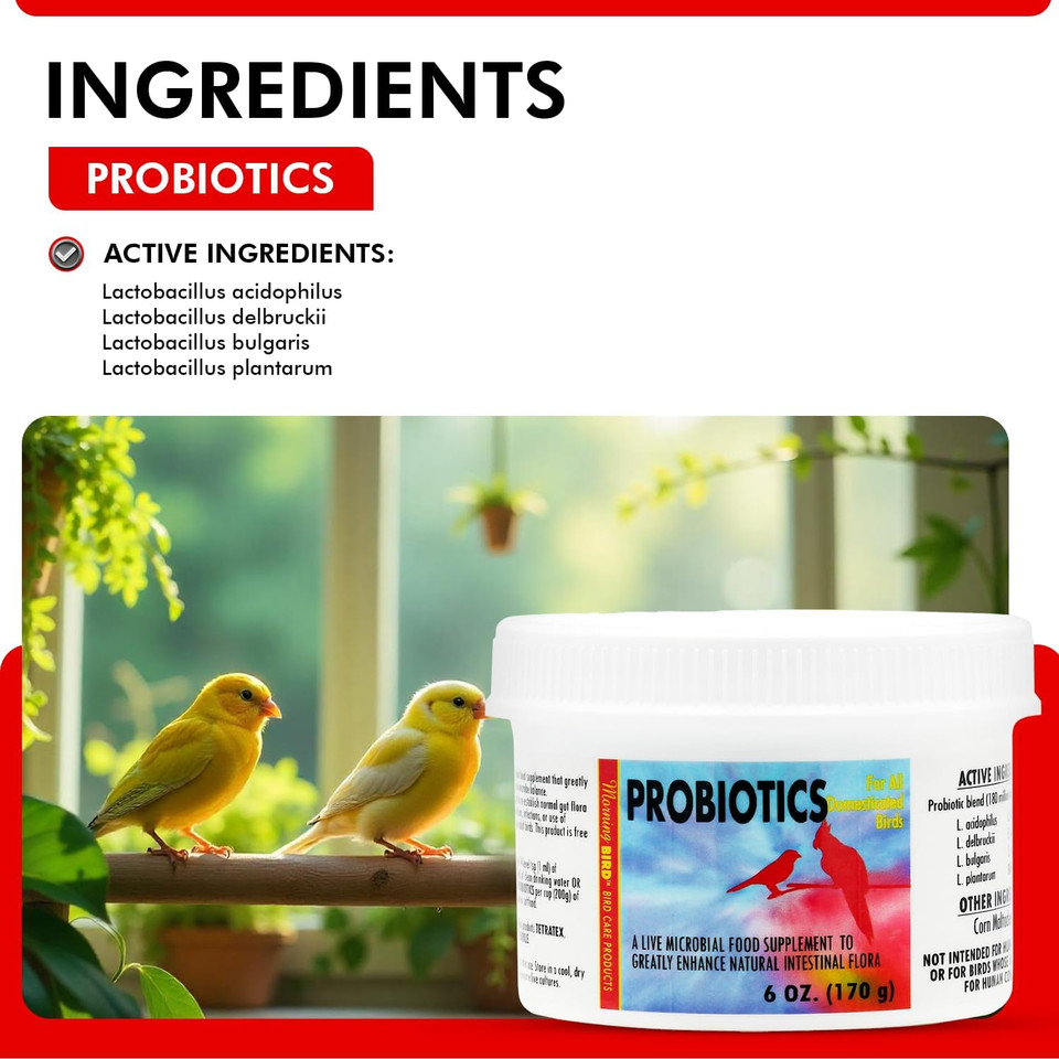 Morning Bird Probiotics For Birds 16 Oz Digestive Health Supplement With Supports Gut Balance, Nutrient Absorption & Immune Support  Easy Mix Powder Supplement For All Bird Species