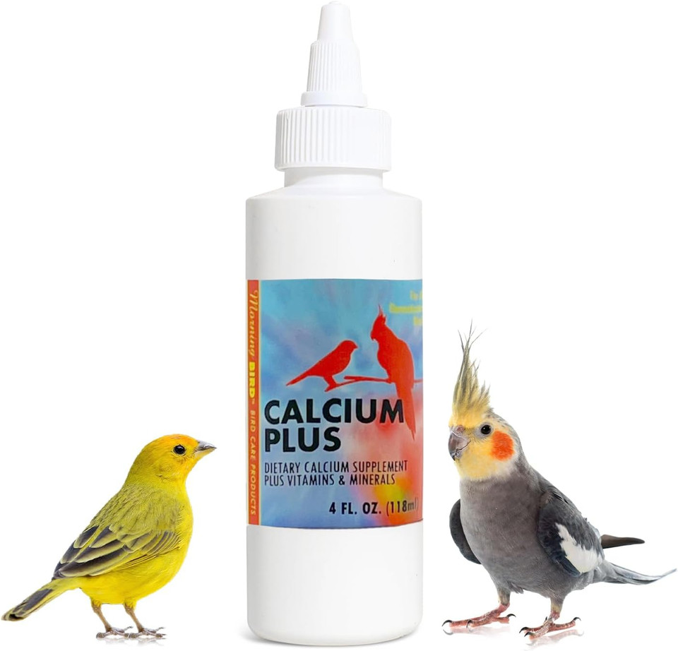 Morning Bird Calcium Plus Liquid Supplement For Birds - Liquid Calcium Formula With Magnesium And Vitamin D3 Calcium Supplement For All Birds  2 Fl Oz