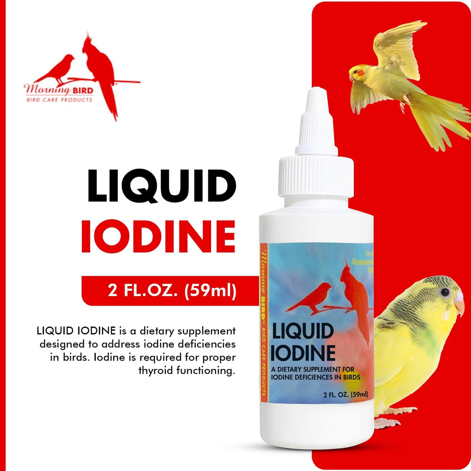 Morning Bird Liquid Iodine For Birds 2 Fl. Oz  Iodine Drops For Feather Growth, Support Molting, Energy & Thyroid  Easy-To-Use Mineral Supplement Formula For All Bird Types Morning Bird Liquid Iodine For Birds 2 Fl. Oz  Iodine Drops For Feather Growth, Support Molting, Energy & Thyroid  Easy-To-Use Mineral Supplement Formula For All Bird Types