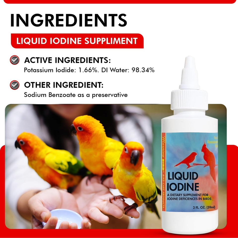 Morning Bird Liquid Iodine For Birds 2 Fl. Oz  Iodine Drops For Feather Growth, Support Molting, Energy & Thyroid  Easy-To-Use Mineral Supplement Formula For All Bird Types Morning Bird Liquid Iodine For Birds 2 Fl. Oz  Iodine Drops For Feather Growth, Support Molting, Energy & Thyroid  Easy-To-Use Mineral Supplement Formula For All Bird Types