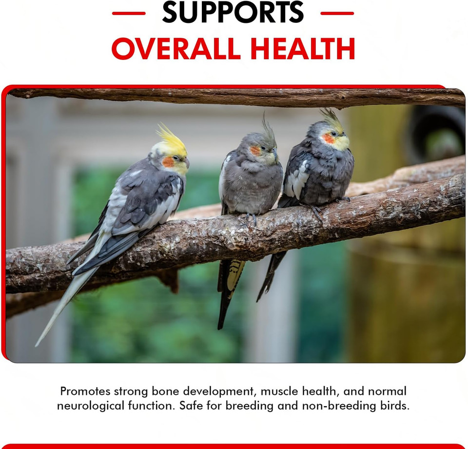 Morning Bird Calcium Plus Liquid Supplement For Birds - Liquid Calcium Formula With Magnesium And Vitamin D3 Calcium Supplement For All Birds  4 Fl Oz