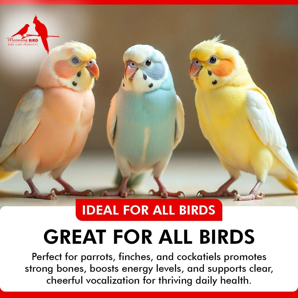 Morning Bird Hearty Bird 6 Oz - Daily Multivitamin Powder For Species  Energy Support With Immune Booster & Wellness - Protein Supplement Mix With Nutrients For All Pet Types