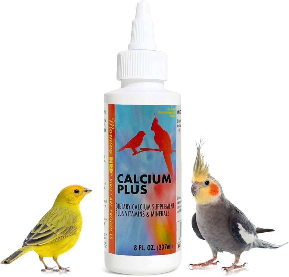 Morning Bird Calcium Plus Liquid Supplement For Birds - Liquid Calcium Formula With Magnesium And Vitamin D3 Calcium Supplement For All Birds  8 Fl Oz