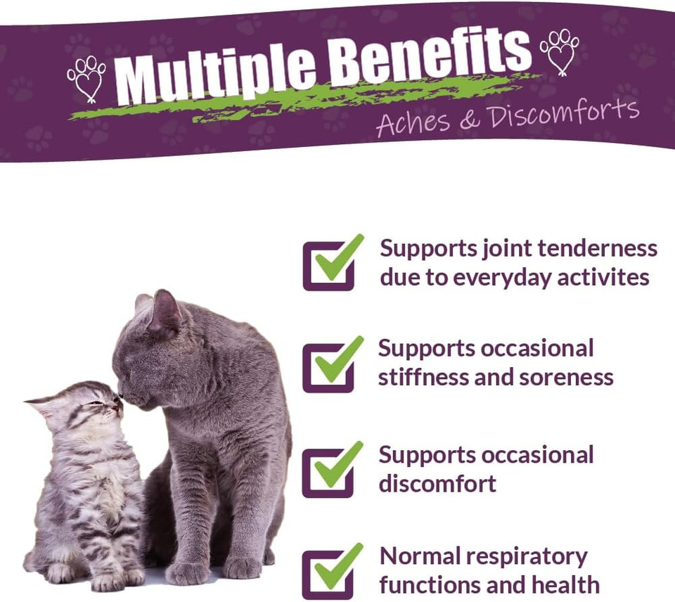 Amber Naturalz Adizone C Herbal Supplement For Cats | Supports Healthy Inflammatory Response, Occasional Discomfort, And Normal Joint Function | Natural Aid For Active And Aging Felines