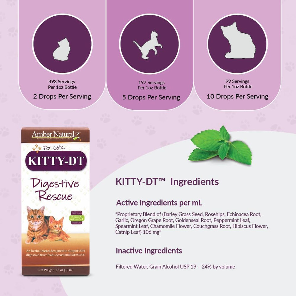 Amber Naturalz Kitty-Dt Digestive Rescue Herbal Supplement For Cats | Feline Herbal Supplement For Occasional Upset And Digestive Support | 1 Fluid Ounce Glass Bottle | Manufactured In The Usa