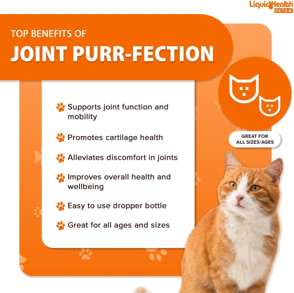 Liquidhealth Pets Liquid Cat Glucosamine Joint Purr-Fection - Hip & Joint Health Relief Support, Chondroitin Feline Droppers For Senior Older Adult Cats & Kittens - Made In The Usa (2 Oz)