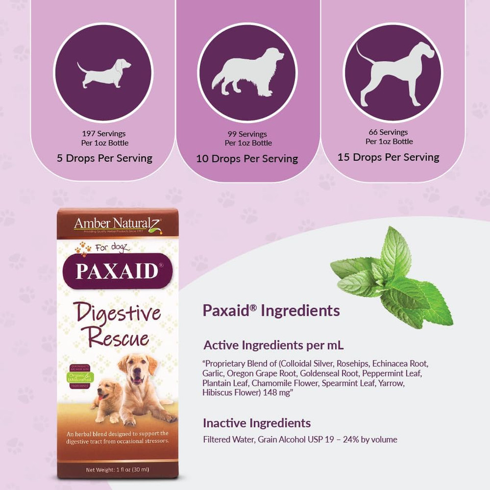 Amber Naturalz Paxaid Digestive Rescue For Dogs And Puppies | Supports Normal Appetite, Gut Function, And Stool Consistency During Occasional Gastric Discomfort And Dietary Changes