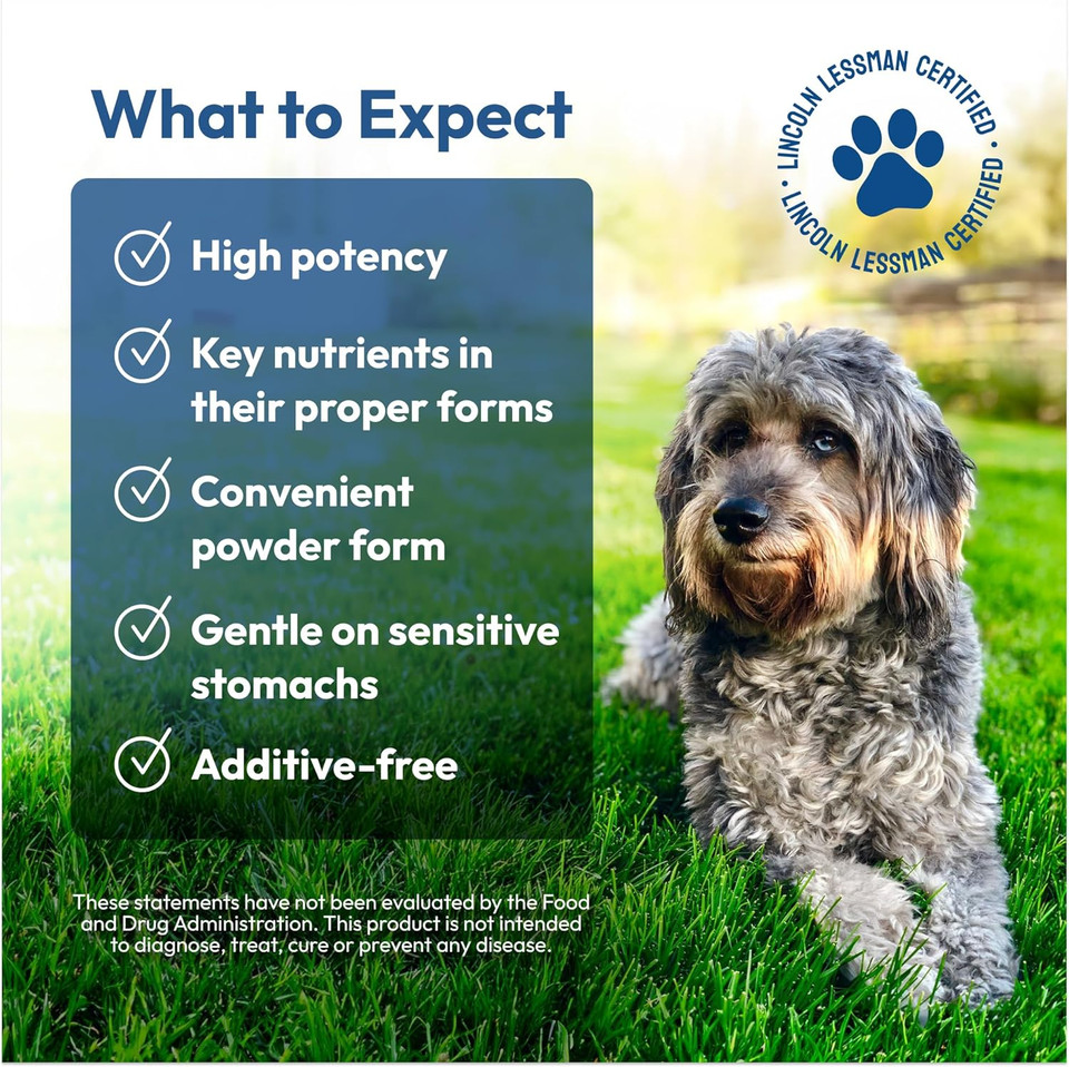 Andrew Lessman LincolnS Own Joint Benefits + Uc-Ii For Dogs. 240 Servings. Advanced Glucosamine, Chondroitin, Free-Range And Uc-Ii Collagen Peptide Powder For Dogs. No Additives Of Any Kind