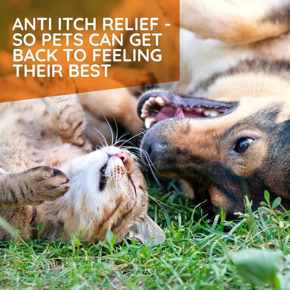 T-Relief Pet Allergy Support Drops For Dogs & Cats Itchy Relief Supports Healthy Skin & Coat Natural Medicine Helps Soothe Hot Spot Itching Paws Licking Runny Nose Sneezing Watery Eyes - 1.69 Fl Oz