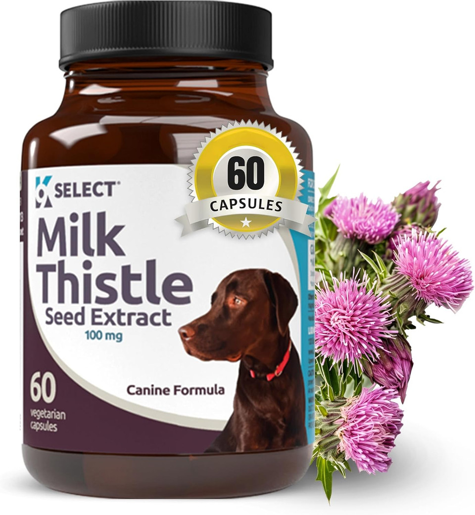 K9 Select Milk Thistle For Dogs, 100Mg - 60 Vegetable Capsules - Canine Liver Health Milk Thistle Supplement - Milk Herbal