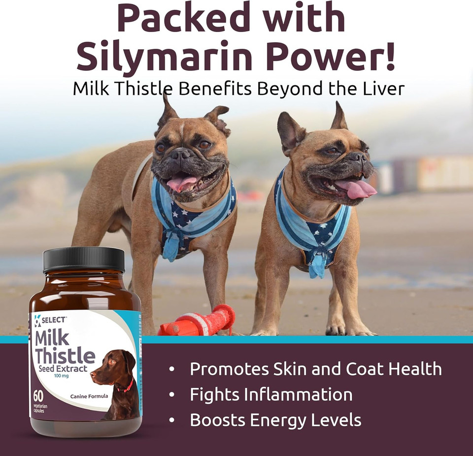 K9 Select Milk Thistle For Dogs, 100Mg - 60 Vegetable Capsules - Canine Liver Health Milk Thistle Supplement - Milk Herbal