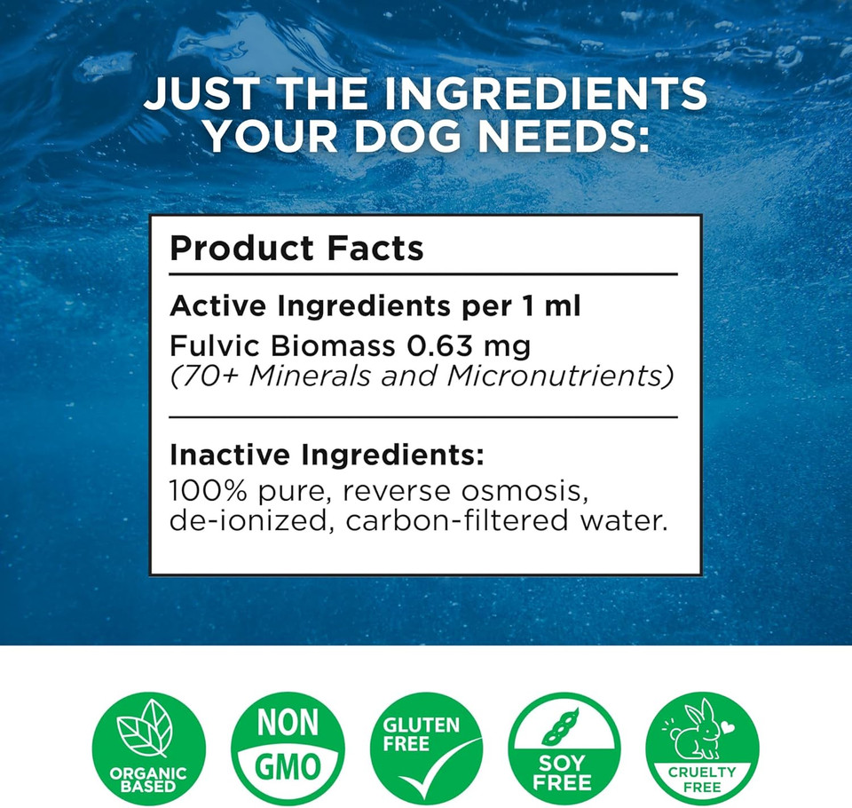 Beam Minerals Complete Canine Electrolytes | Full-Spectrum Electrolytes For Dogs | 12 Fl Oz