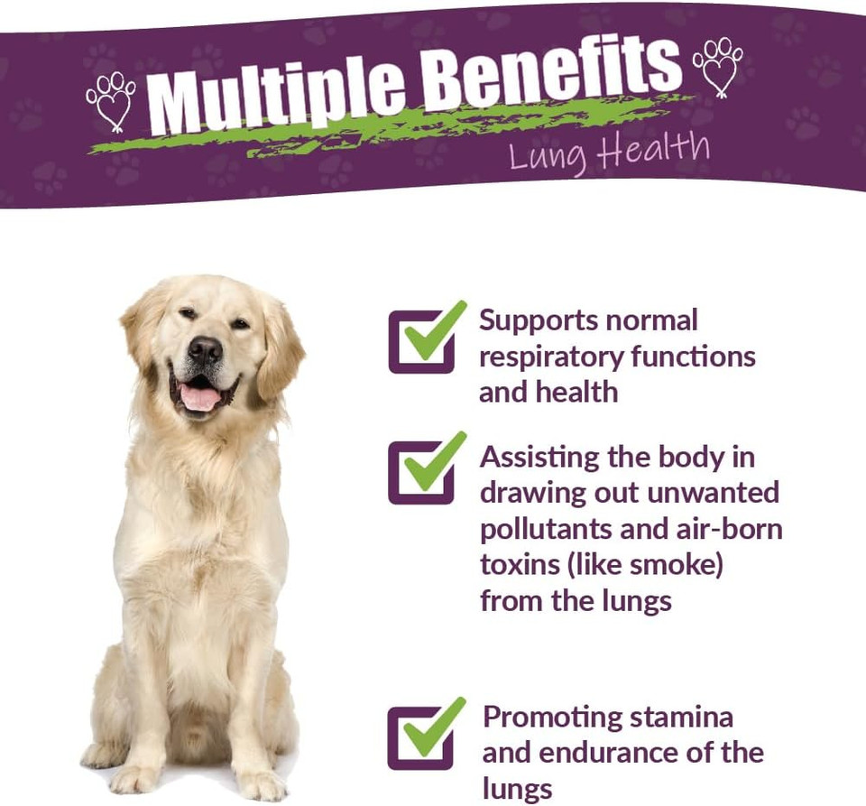 Amber Naturalz Numo Care Lung Health Herbal Supplement For Dogs | Canine Herbal Supplement For Bronchial Support And Respiratory Lung Health | 1 Fluid Ounce Glass Bottle | Manufactured In The Usa