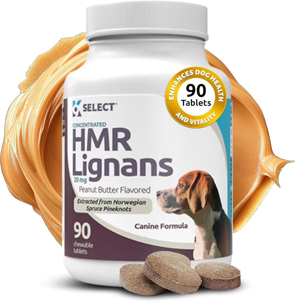 K9 Select Hmr Lignans For Dogs - Enhancer For Overall Wellness, Immune Support For Dogs - Norway Spruce Extract Holistic Dog Health - Digestion, & Coat Care - Peanut Butter, 20Mg, 90 Tablets