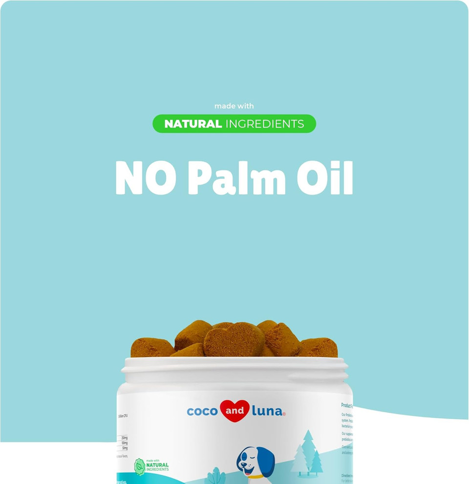 Probiotics For Dogs Digestive Health - Support Gut Health, Diarrhea, Gas, & Seasonal Allergies - With Honey, Pumpkin And Prebiotics For Digestive Support, Bad Dog Breath & Constipation