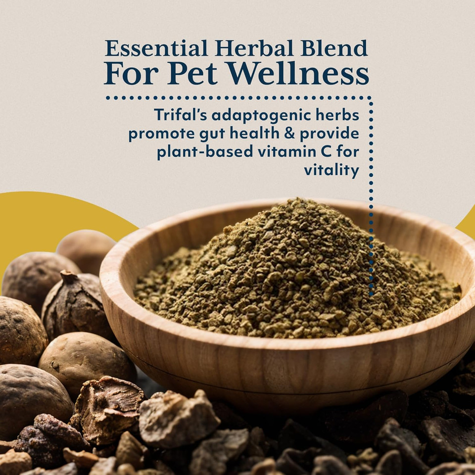 Ayush Herbs Pet Trifal Drops, Holistic Digestive Drops For Pets, Ayurvedic Formula For Healthy Digestion And Elimination, 2 Fluid Ounces